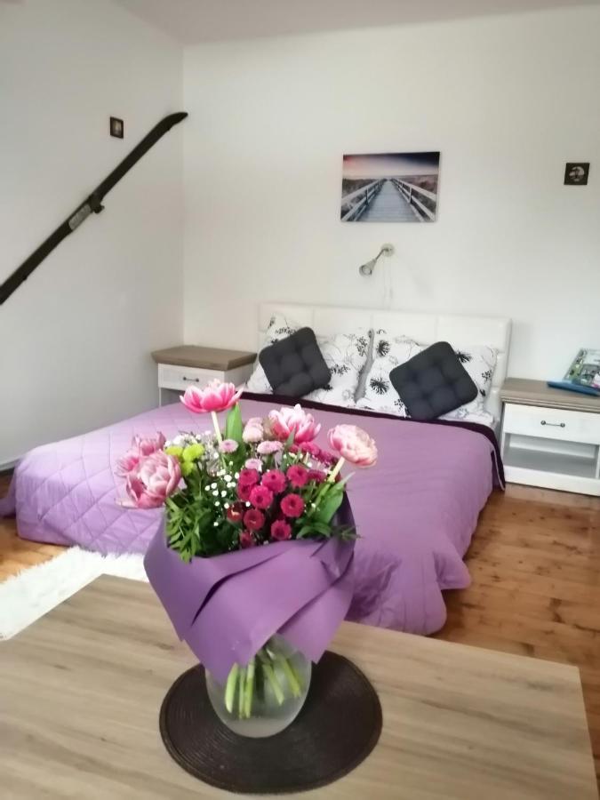 Apartment Patrick Harrachov Luaran gambar